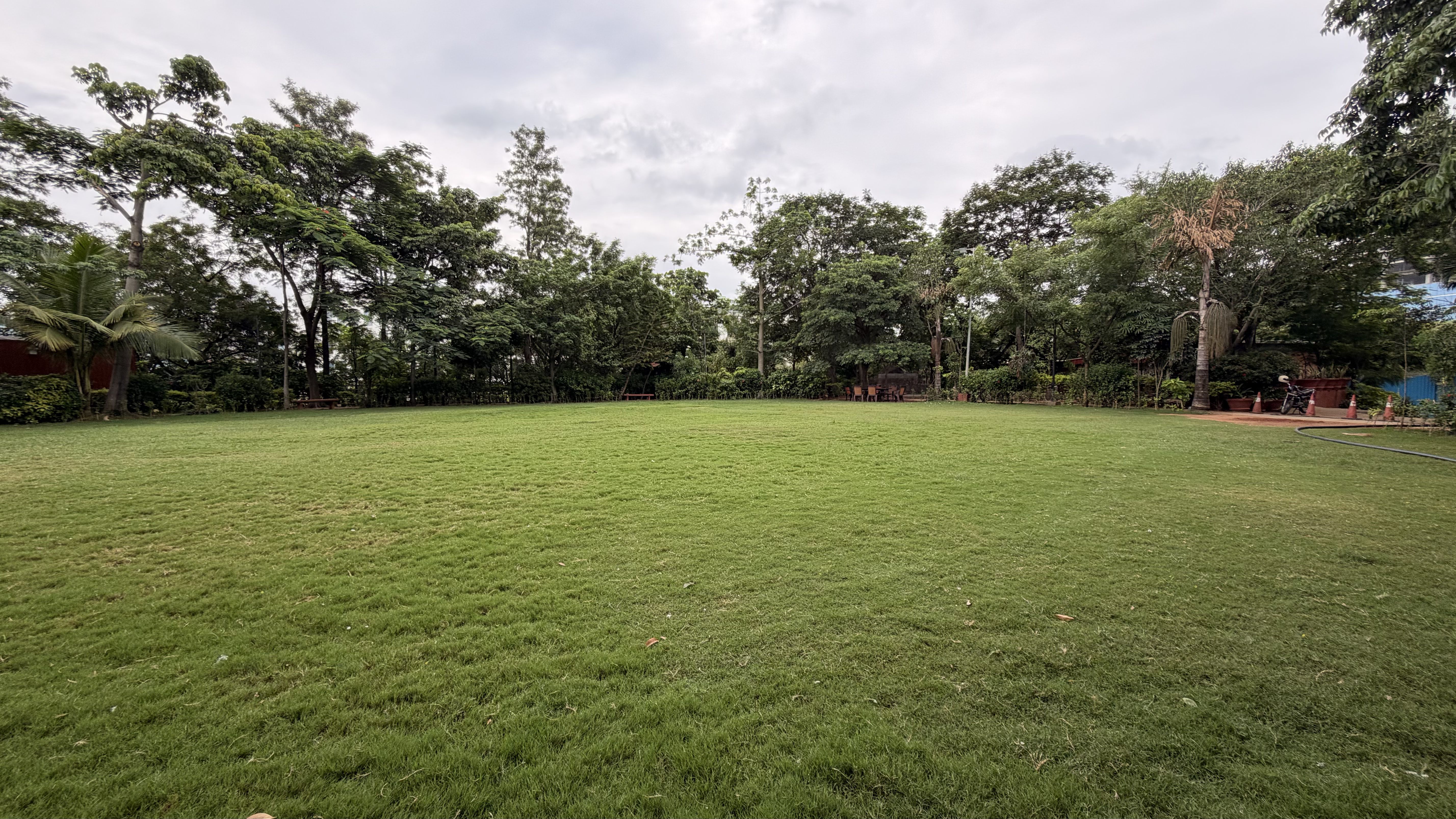 Open Arena